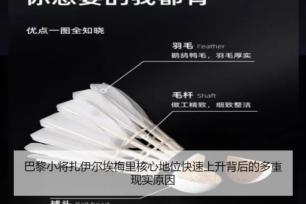 巴黎小将扎伊尔埃梅里核心地位快速上升背后的多重现实原因